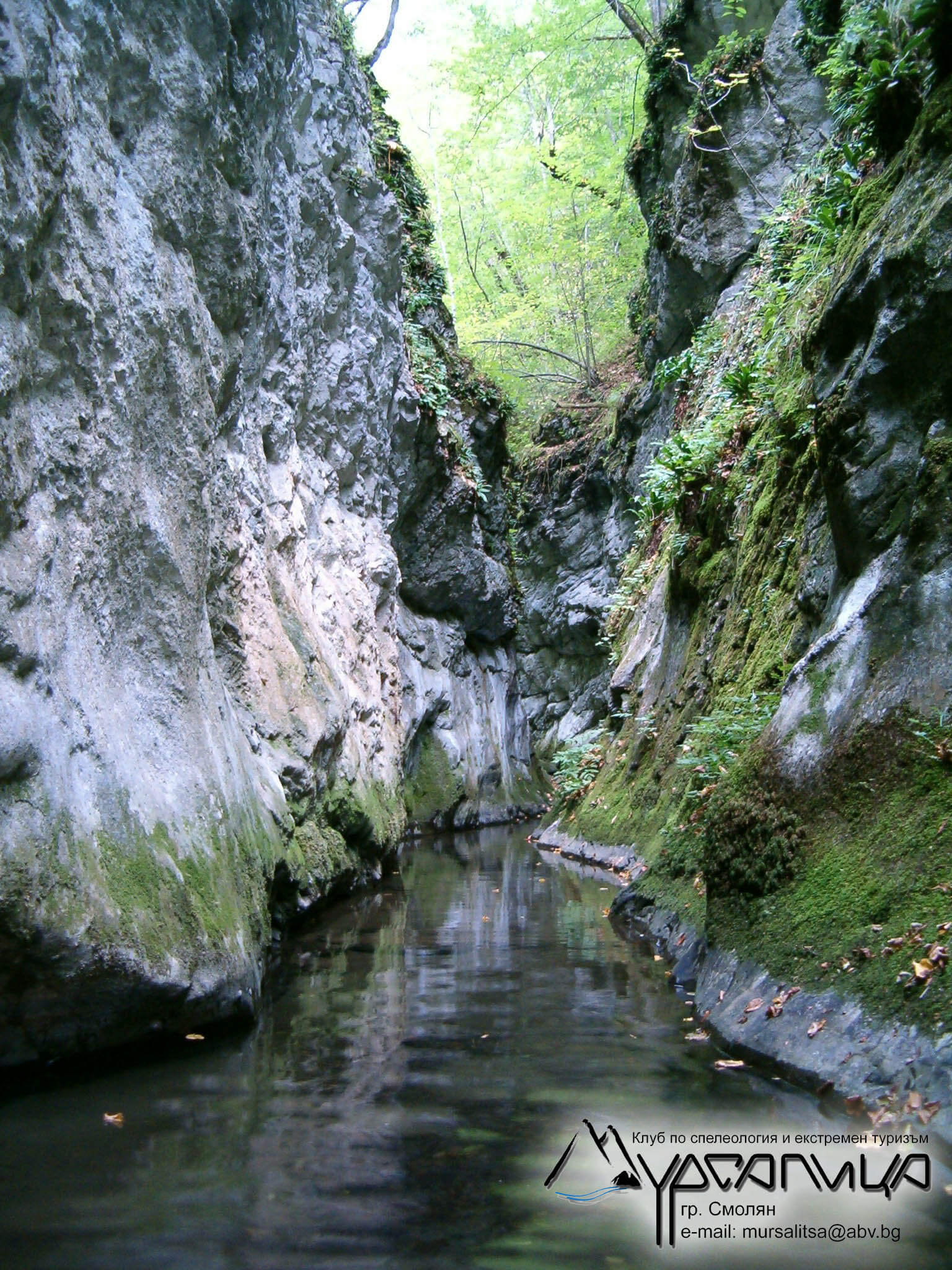 Мурсалица